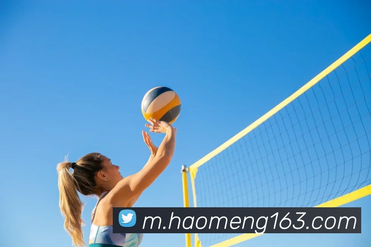 豪门国际APP 封面图